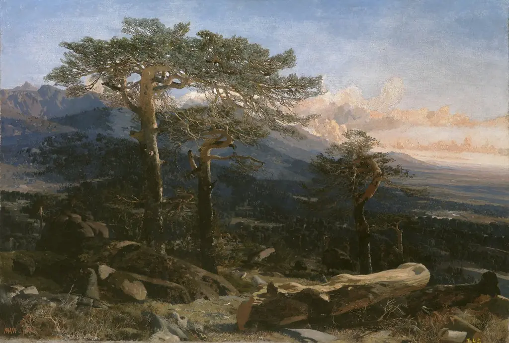 A Guadarrama Landscape