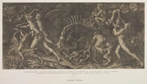 Il Stregozzo
