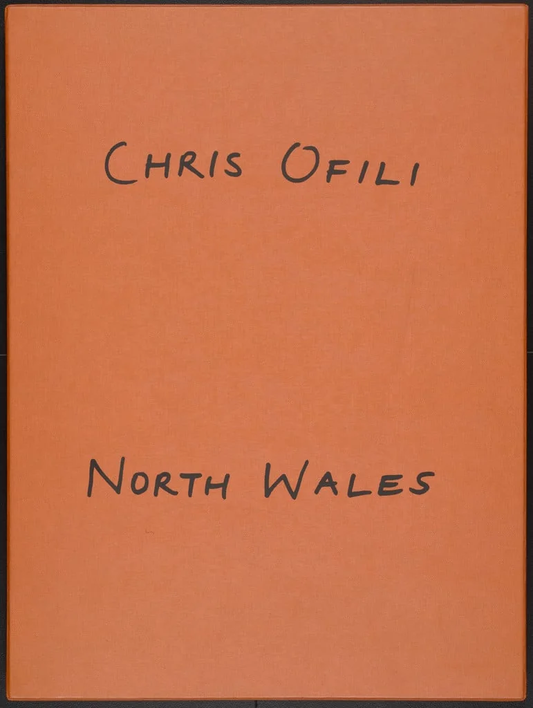 Untitled, by Chris Ofili, ink, 1996