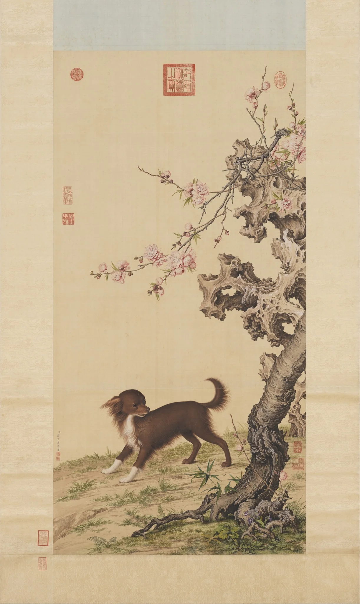 Long-haired Dog Beneath Blossoms, by Giuseppe Castiglione, unspecified, 1737