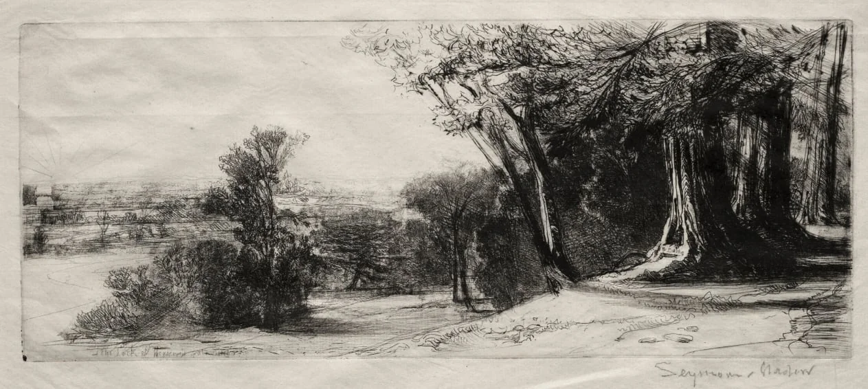 Early Morning, Richmond Park, by Francis Seymour Haden, 1859