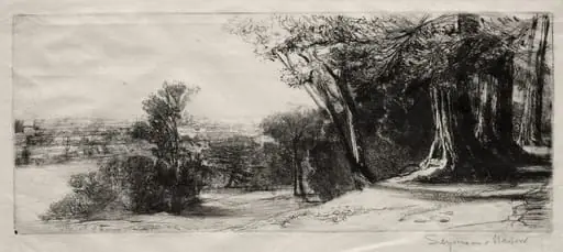 Early Morning, Richmond Park