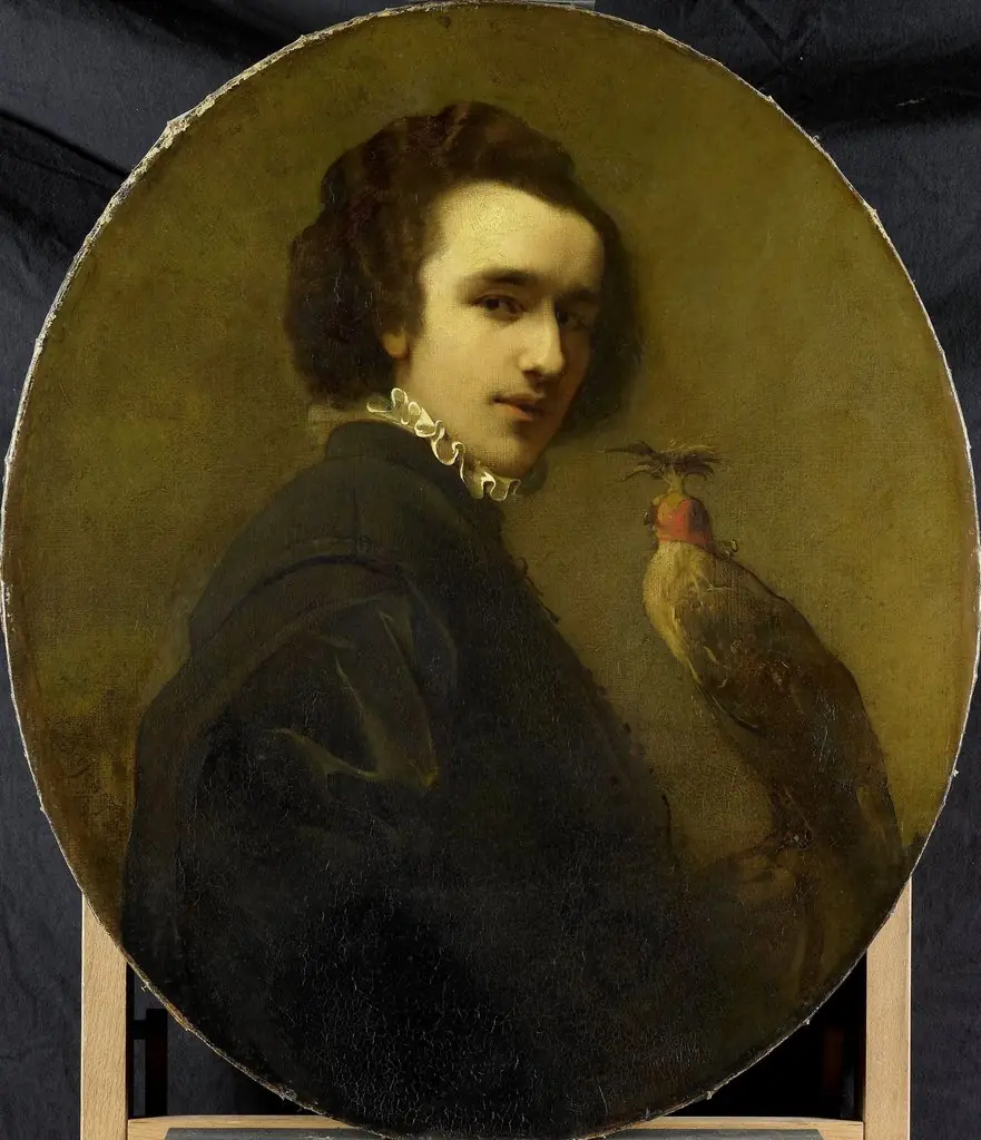 The Falconer