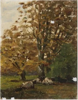 Cows Resting under Trees