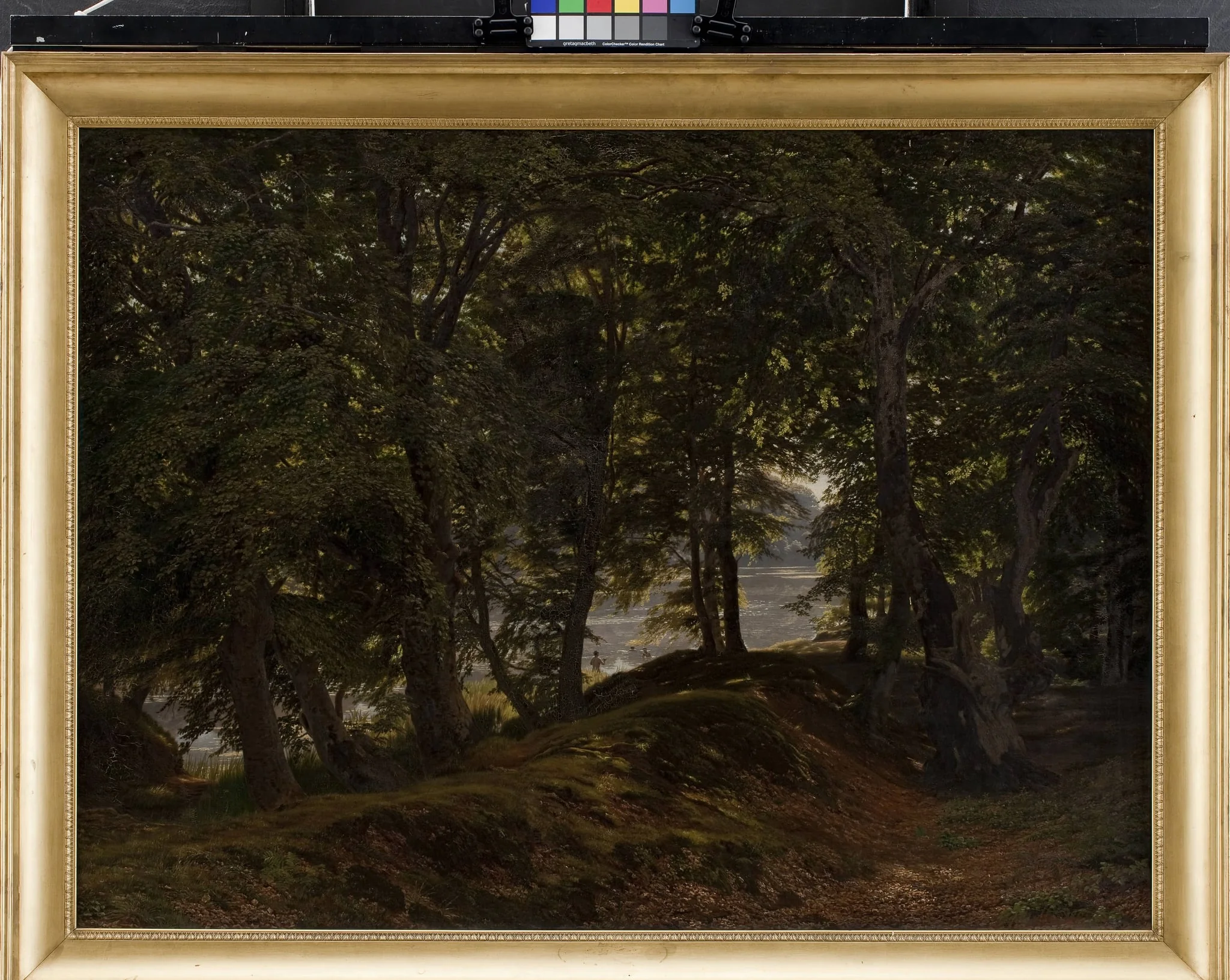 Et skyggefuldt sted i Hestehave ved Frederiksborg, by Unknown, 1860