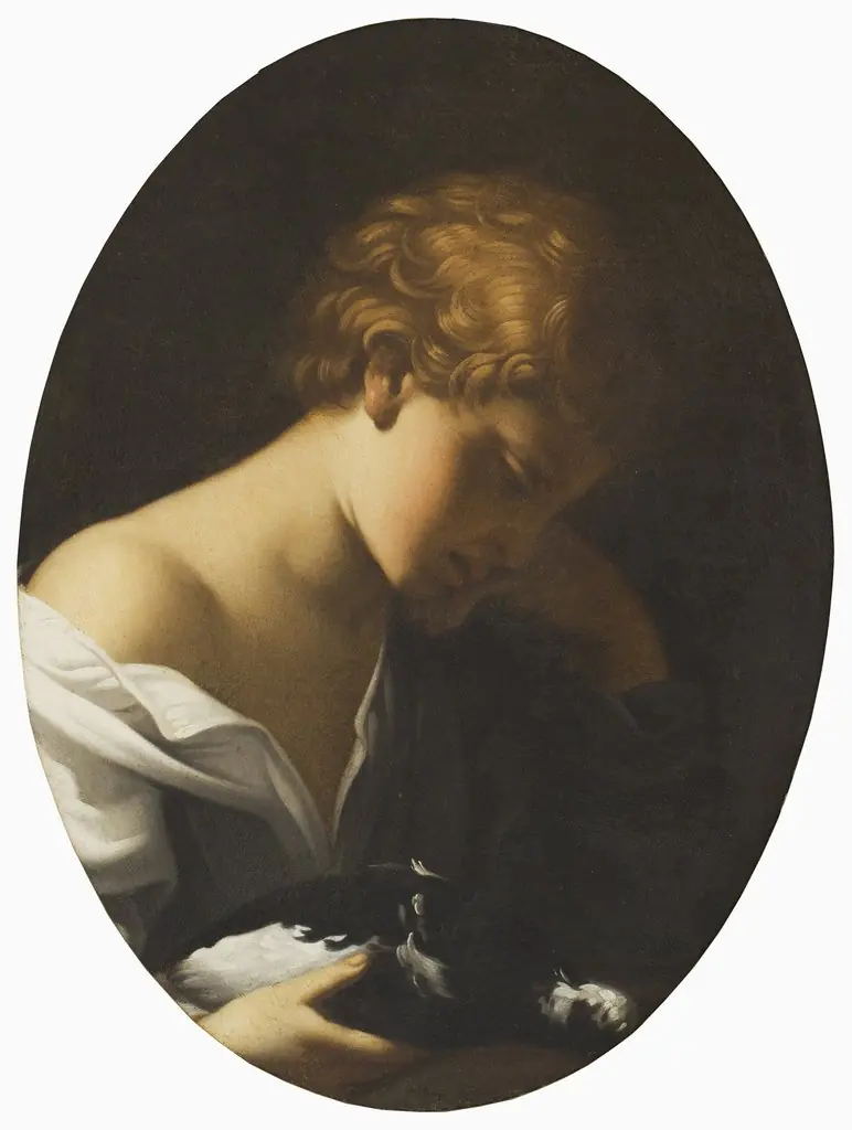 Child Holding a Dove