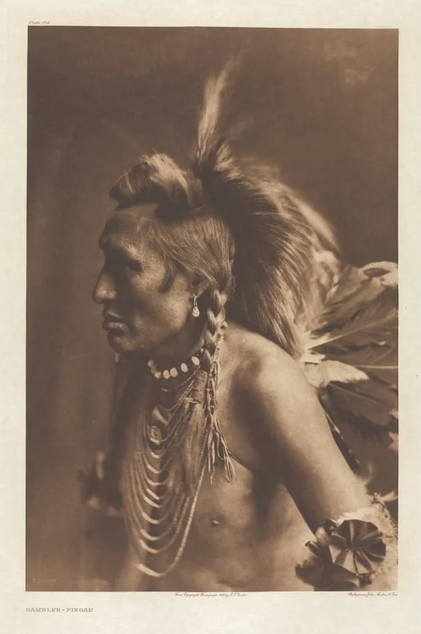 Portfolio VI, Plate 194: Gambler--Piegan