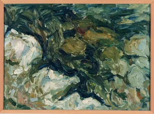 Outdoor study