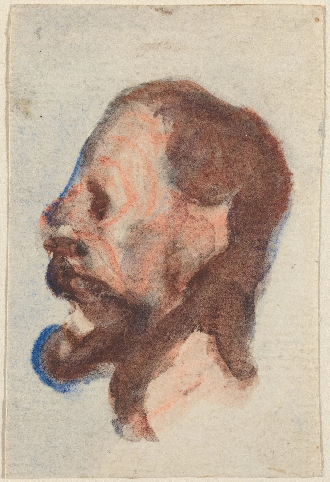 Head of a Man, by Honoré Daumier, chalk, 1844