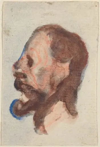 Head of a Man