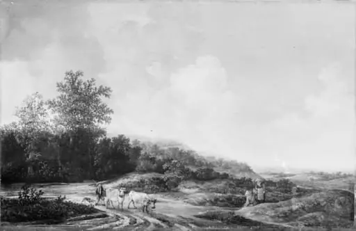 Hilly Landscape