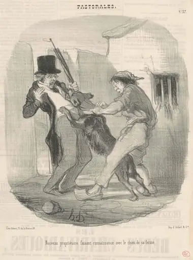 Nouveau propriètaire faisant connaissance avec le chien ...