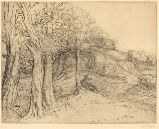 Solitude (Solitude (Paysage))