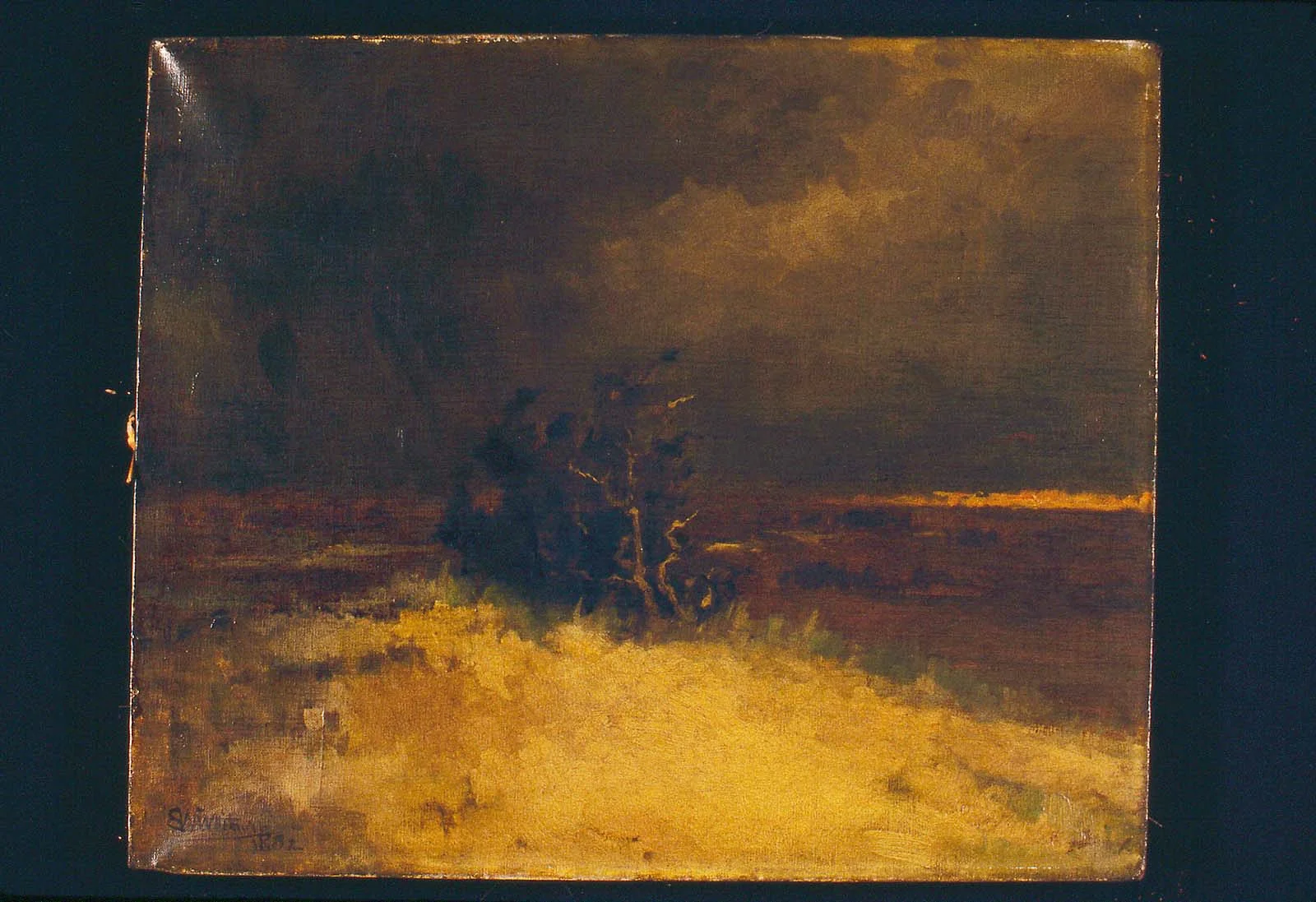 Autumn Marshes, by Sarah W. Whitman, oil, 1892