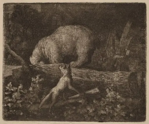 The Bear Trapped