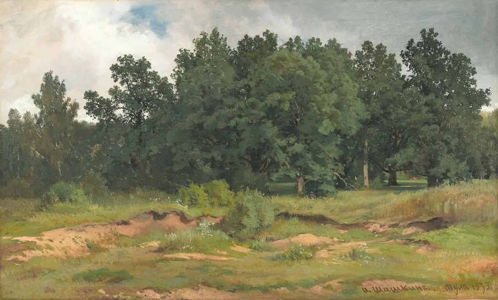 Oak Wood in a Gray Day