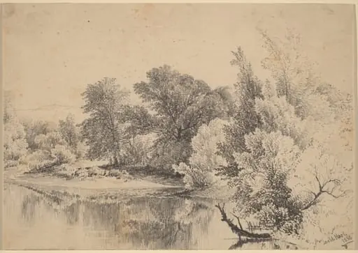 Pond Edge
