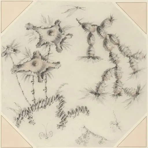 Bamboo Flowers and Cactus