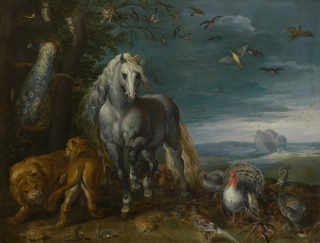 Noach's Ark