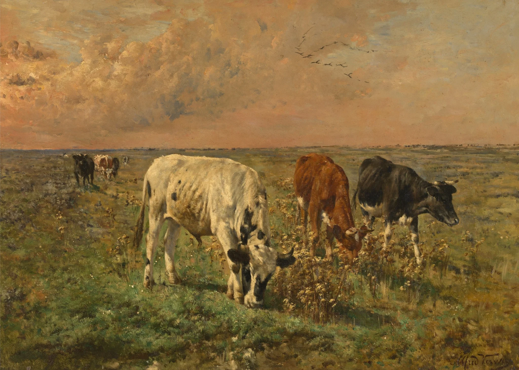 Cows in a Pasture