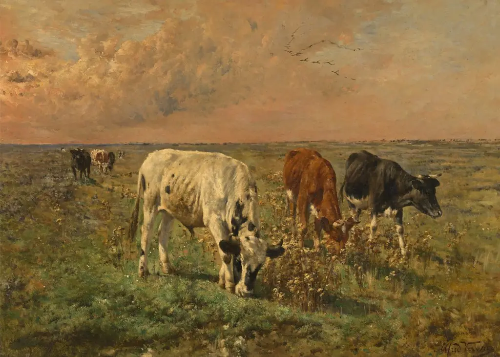 Cows in a Pasture