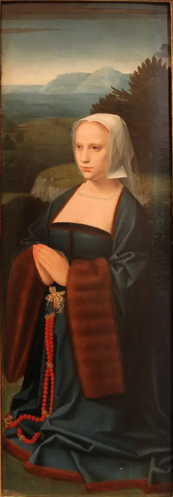 Female donor