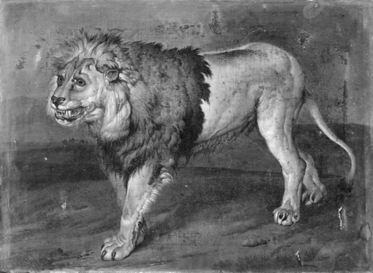 A Lion in a Landscape