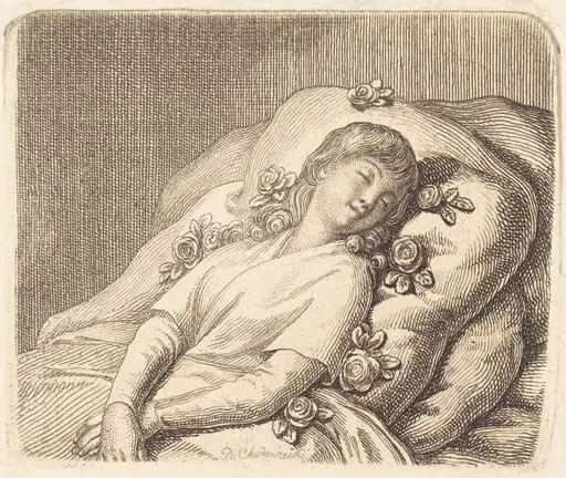 Dreaming on Roses