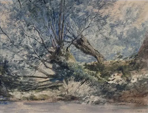 Wood scene