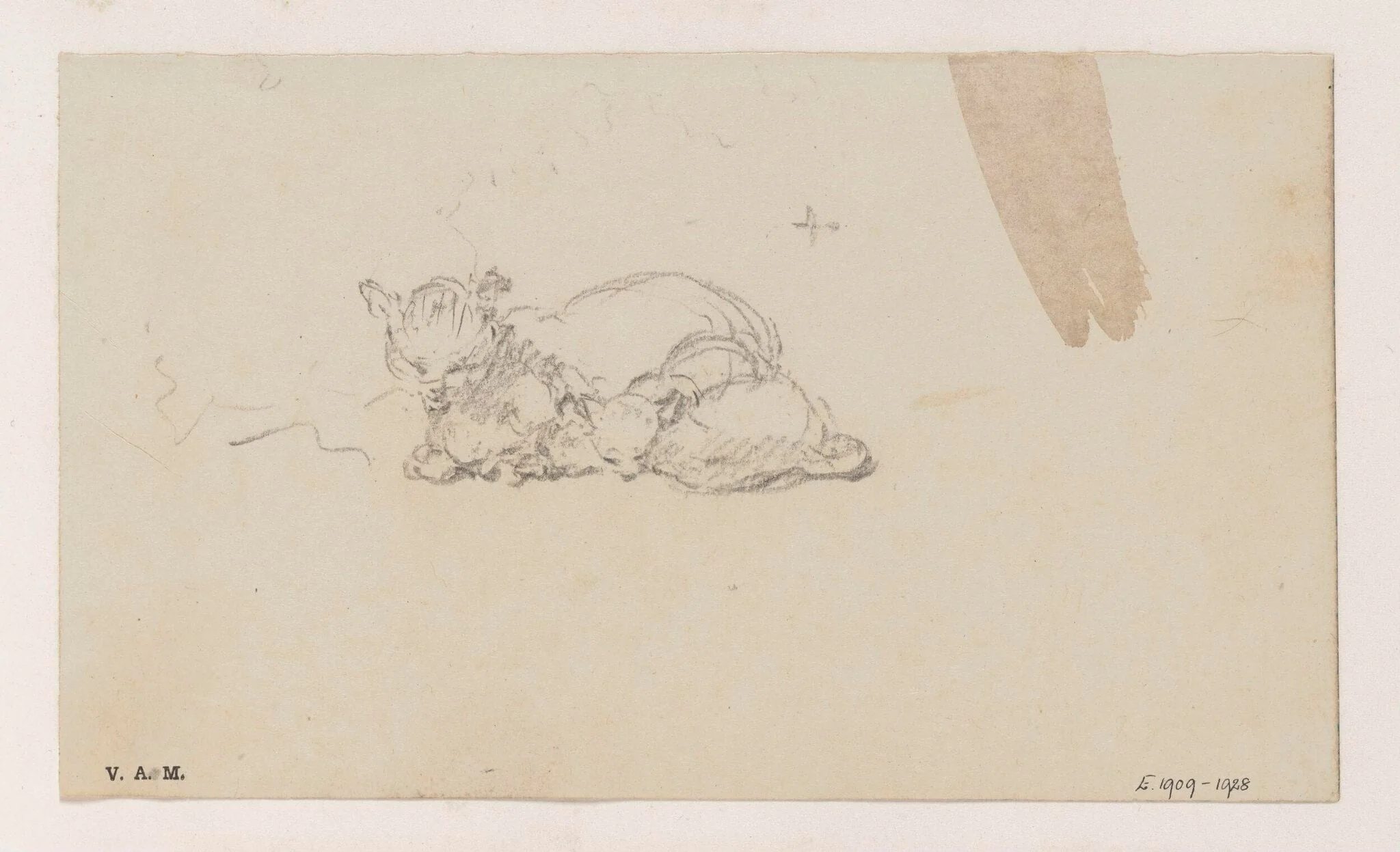 A cat and kittens