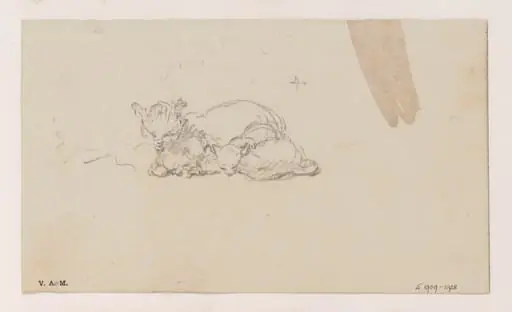 A cat and kittens