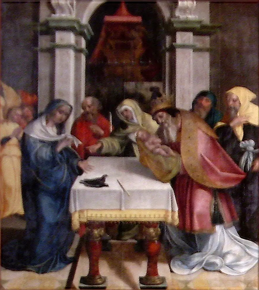 Q96195577