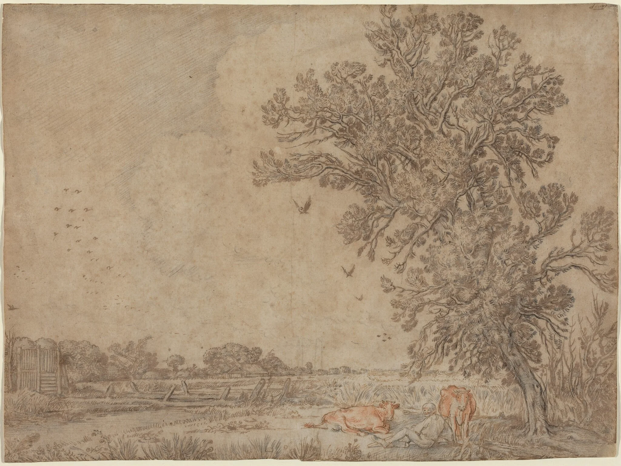Meadow with a Shepherd and Cows, by Willem Buytewech, ink, 1617