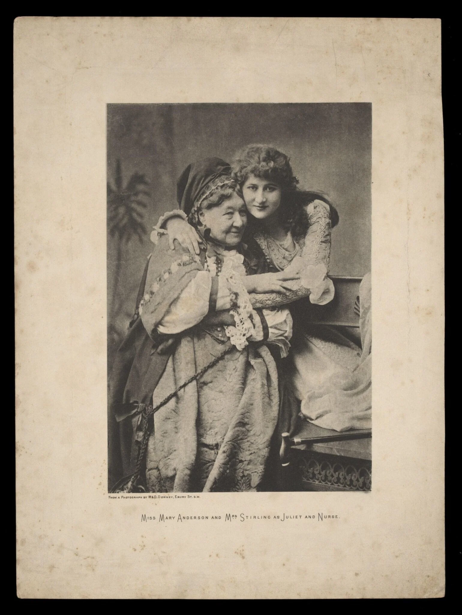 H Beard Print Collection