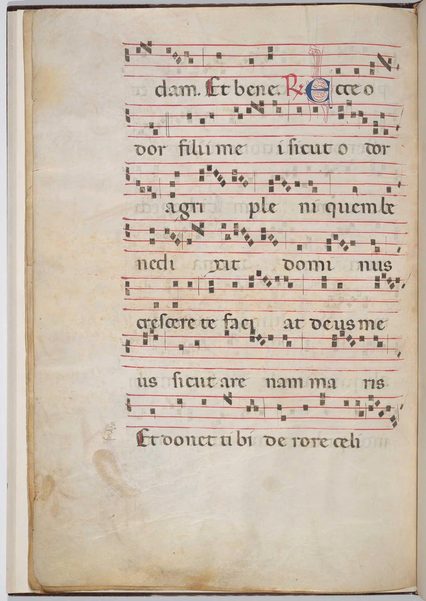 Leaf 8 from an antiphonal fragment (verso), by Italian 13th Century, ink, 1275