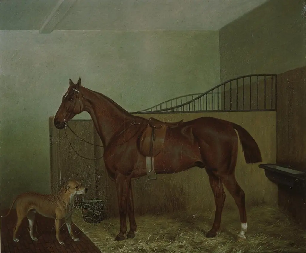 Hunting horse and dog in stable interior
