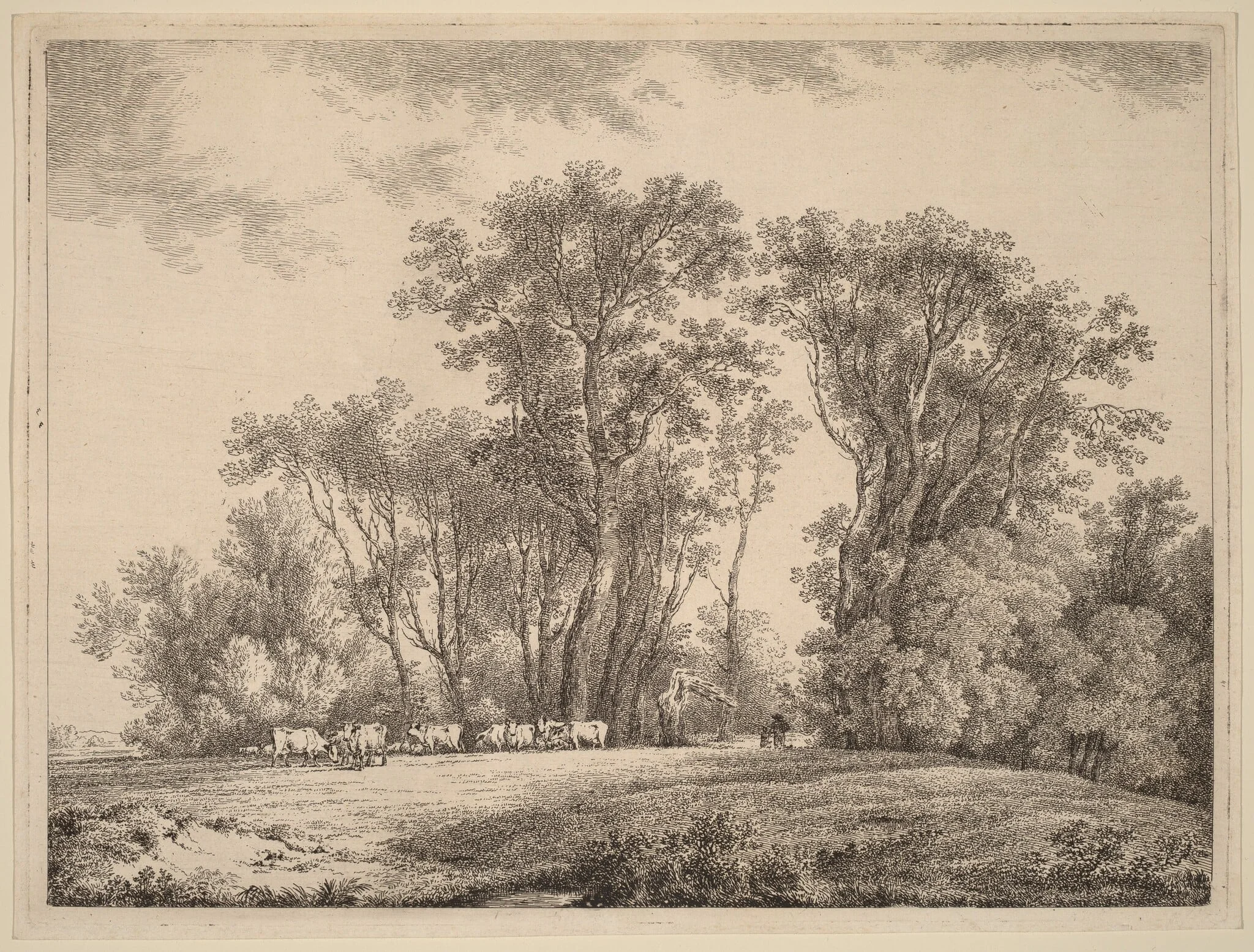 A Meadow with Cattle at the Edge of a Wood, by Martin von Molitor, ink, 1790