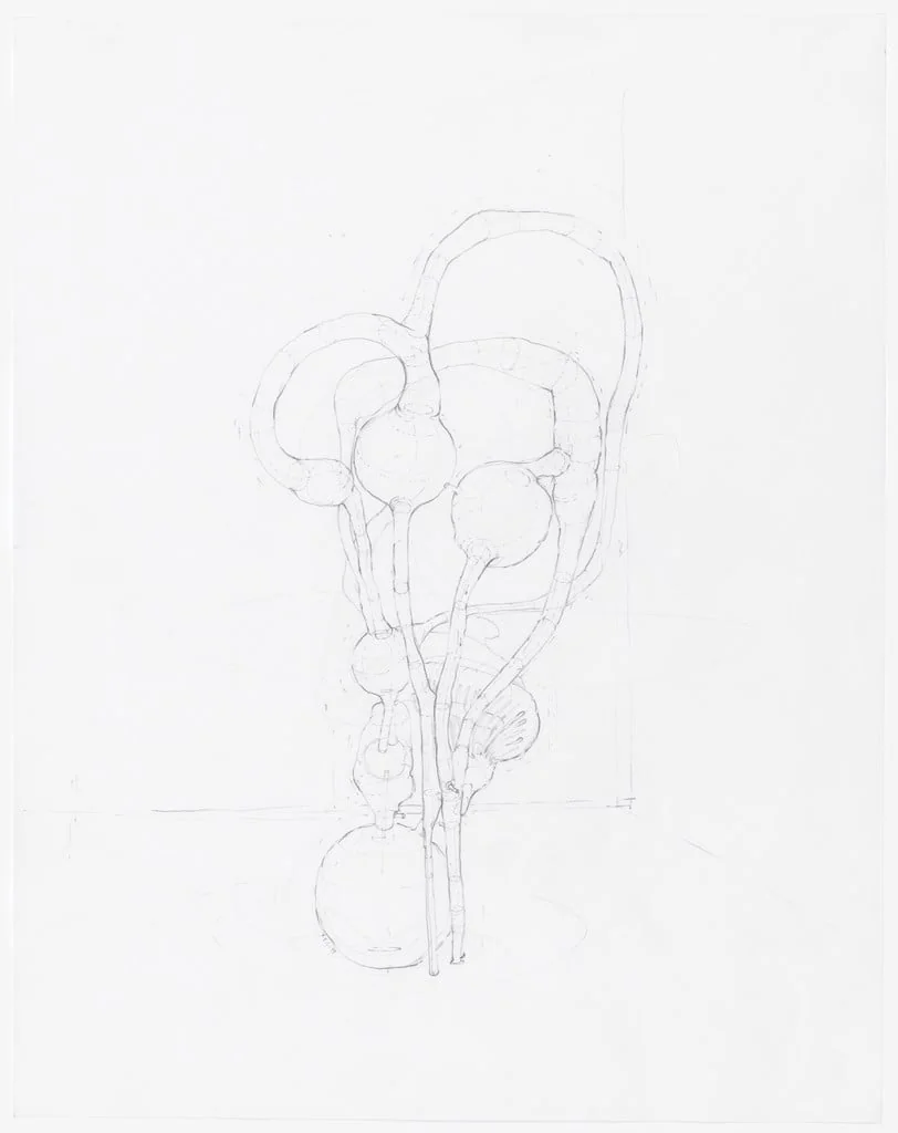 Untitled, by Paul Etienne Lincoln, graphite, 1999