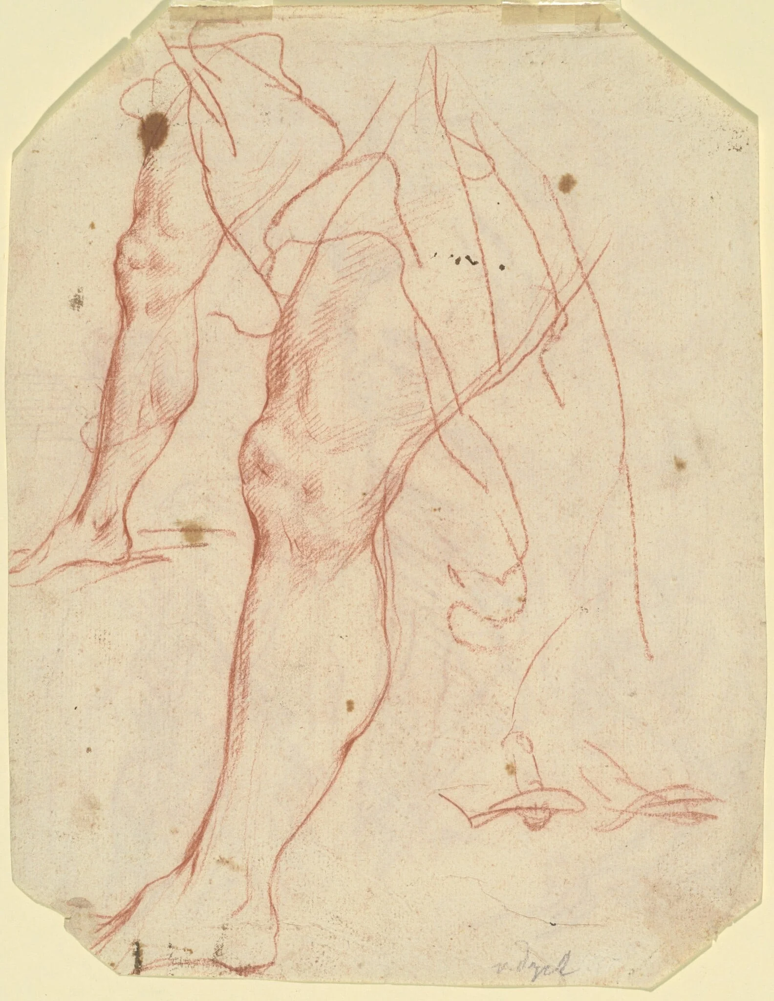 Two Studies of a Leg (verso), by Italian 17th Century, chalk, 1650