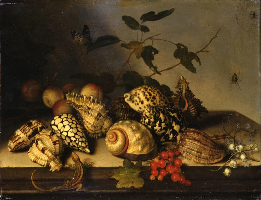 Fruit and Shells