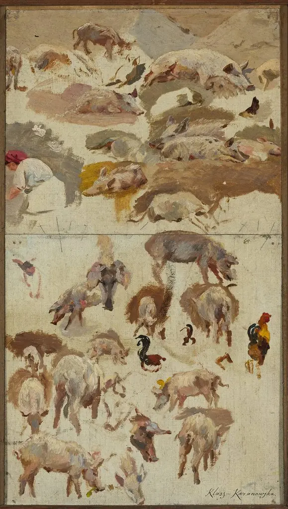 Studies of pigs