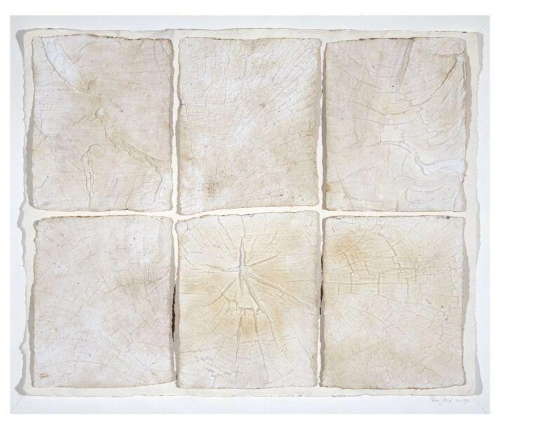 Evidence 1, by Peter Ford, 1996