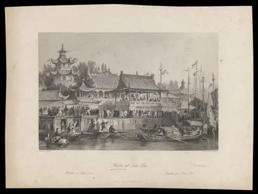 H Beard Print Collection