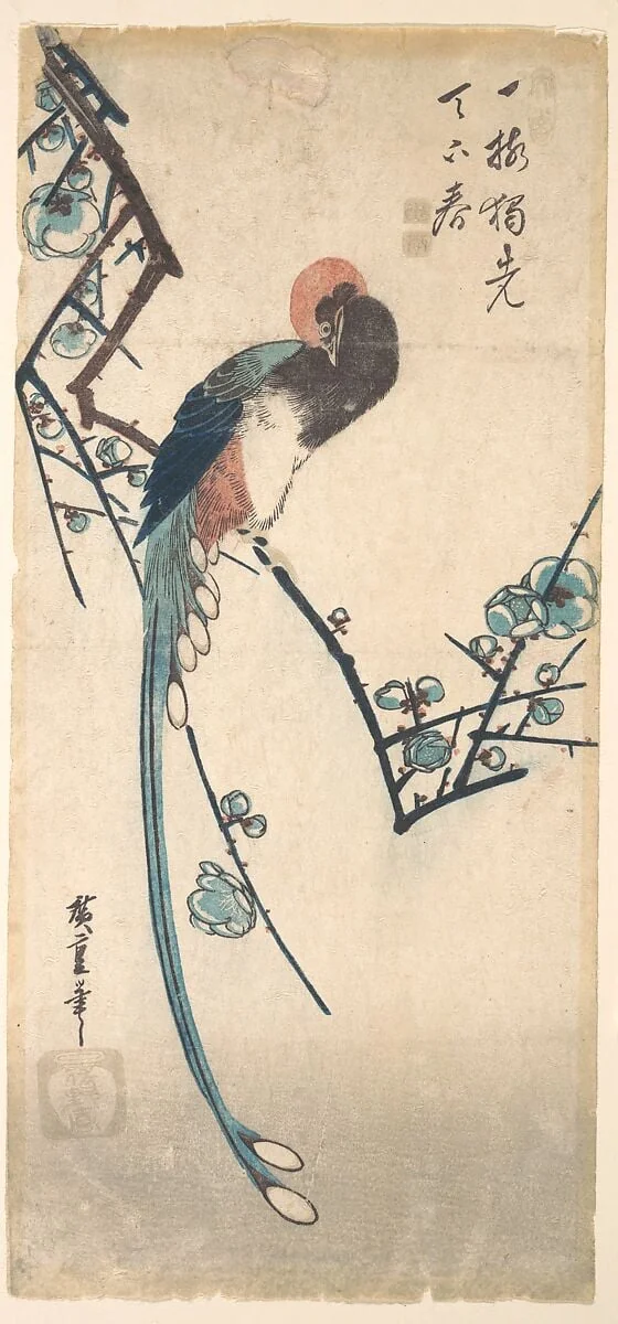 梅に三光鳥|Long Tailed Bird, by Utagawa Hiroshige, ink, 1828