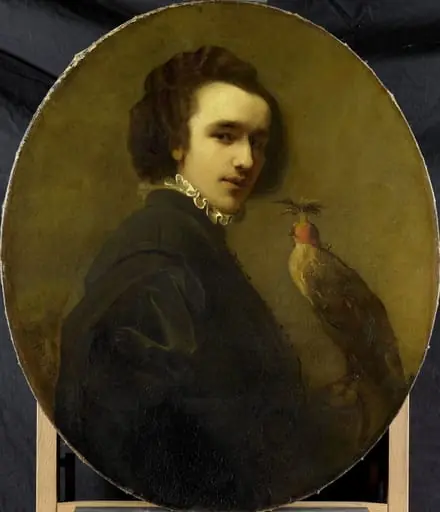 The Falconer