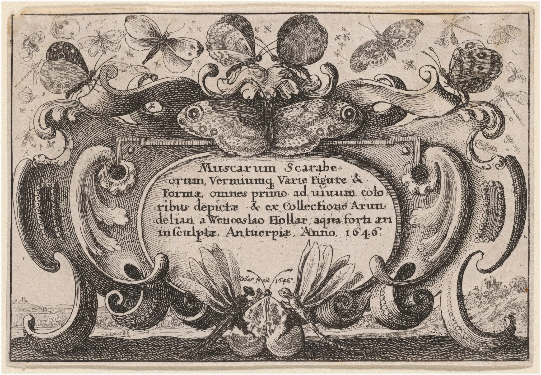 Title Page, by Wenceslaus Hollar, ink, 1646