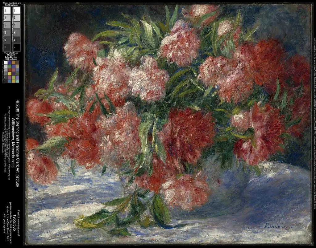 Peonies