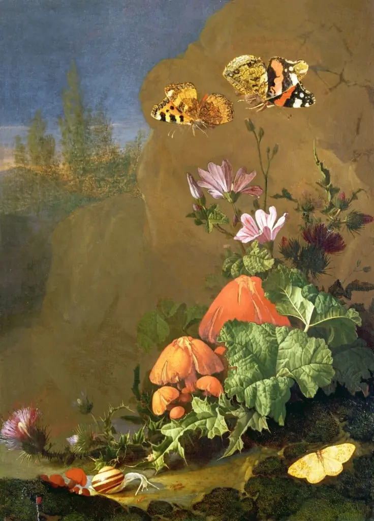 Rocky Floor with Flowers, Mushrooms, Butterflies, a Snail and a Thistle