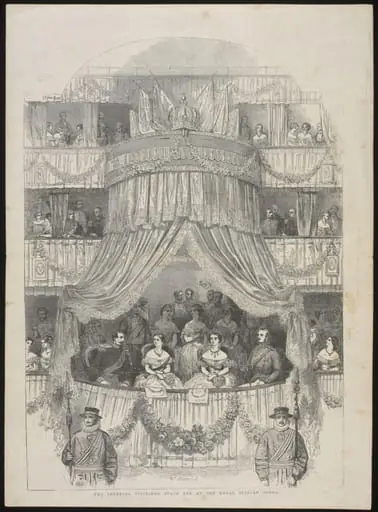 H Beard Print Collection