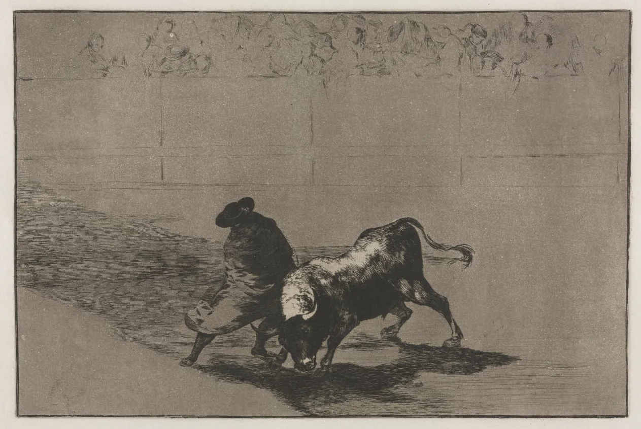Bullfights:  The Very Skilful Student of Falces, Wrapped in his Cape, Tricks the Bull with the Play of his Body, by Francisco Goya, 1816